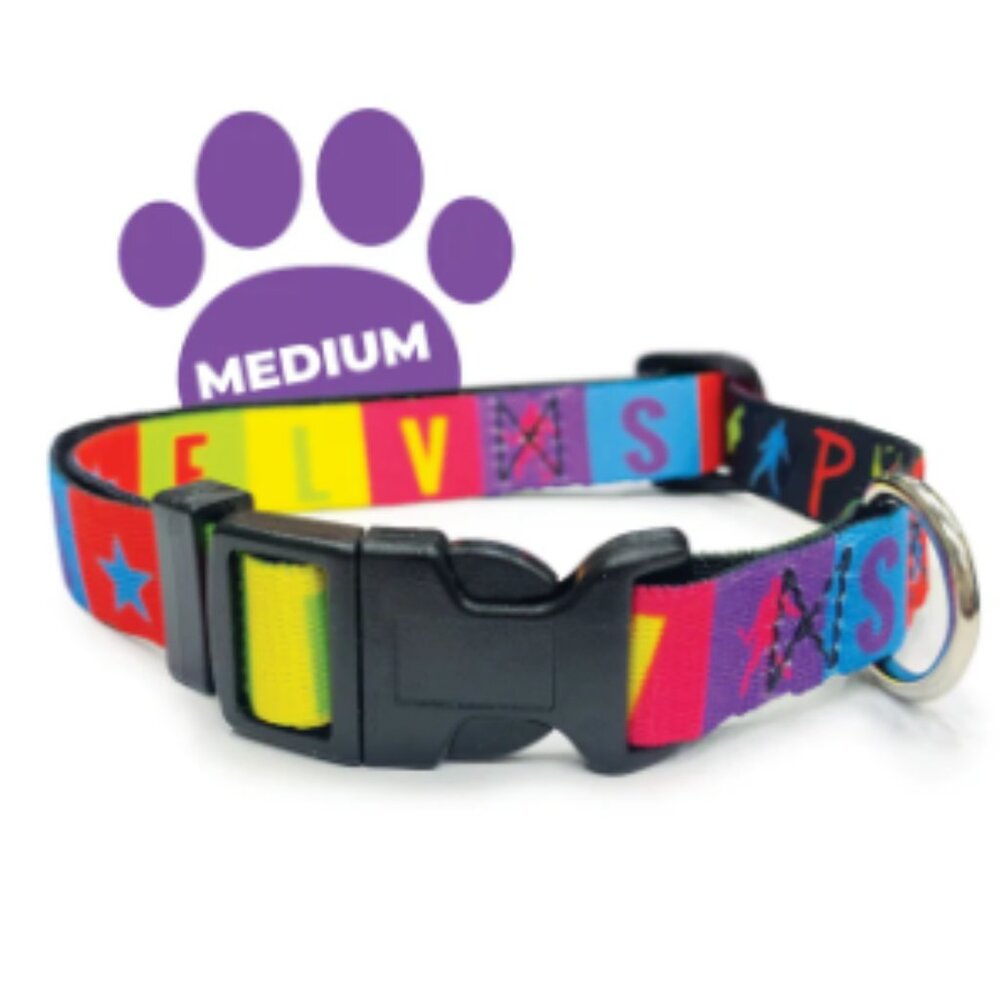 Colorful Elvis Adjustable Dog Collar Size Medium